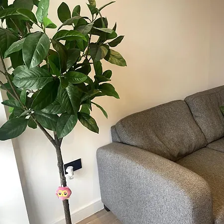 Stylish New Build Flat In