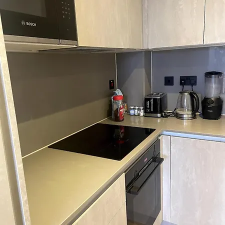 Stylish New Build Flat In London