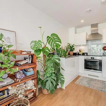 Cozy Bright By Canonbury And Newington N1 Apartment