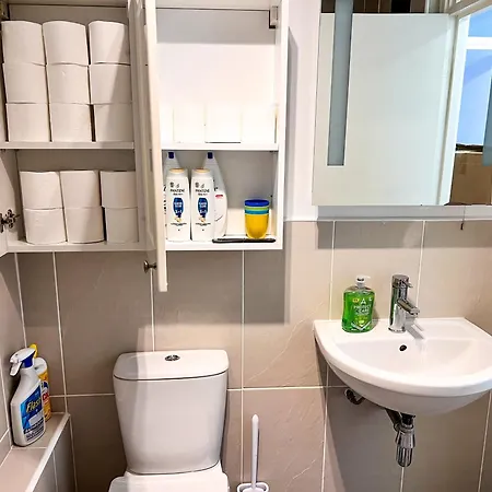 Great River Thames View Entire In The Most Central Aparthotel London
