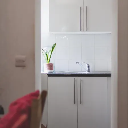 Apartment Lovely 1br Flat In Victorian Mansion In Battersea London