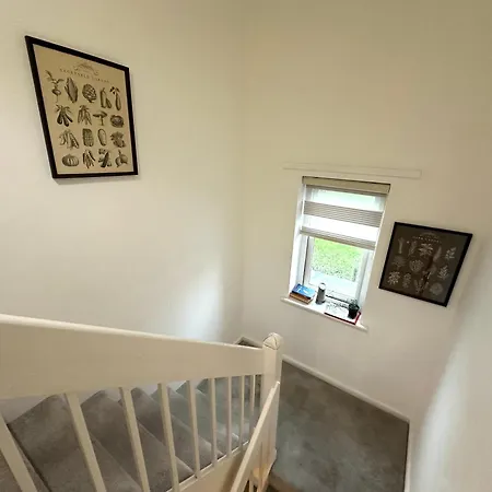 Laburnum House-comfortable Near Of Homestay