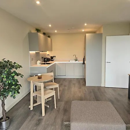 Luxury One Bedroom Flat With Balcony Apartment