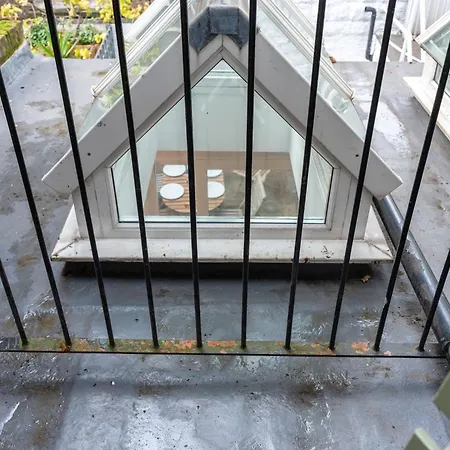 Guest house Cosy In Fulham Broadway