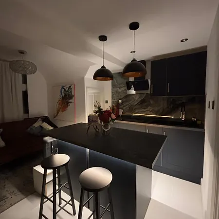 Newly Renovated Modern In West Kensington
