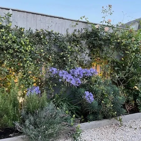 Charming 4bd 6 Mins From Nine Elms Station