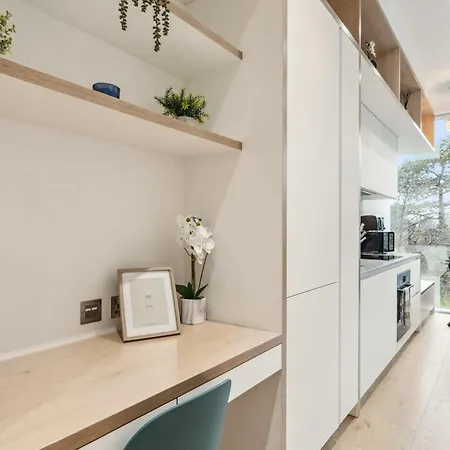 Luxury With Cinema Room, Gym, Parking And Game Brentford