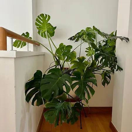 Guest house Creative Oasis In The Heart Of