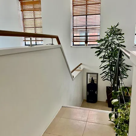 Creative Oasis In The Heart Of Guest house *