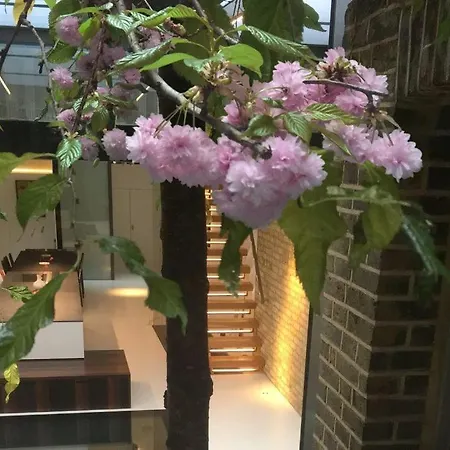 Luxurious Place Belgravia *