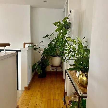 Guest house Creative Oasis In The Heart Of *