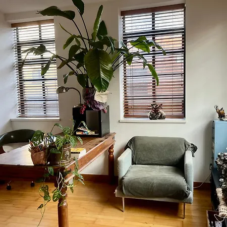 Creative Oasis In The Heart Of *