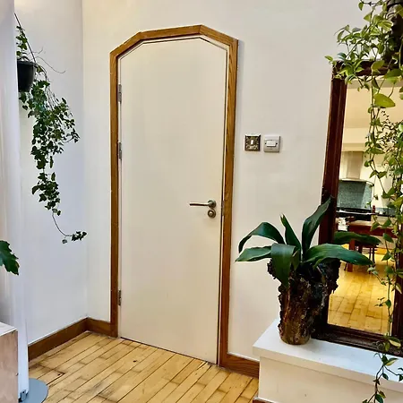 Creative Oasis In The Heart Of Guest house *