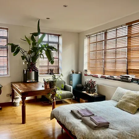 Huge In Loft With Sauna In Guest house *