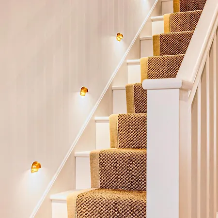 Astounding 4br Haven With Garden Queens Park Tube