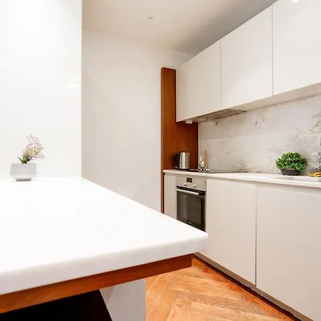 Luxury 2brs Maisonette Near Battersea Power Apartment