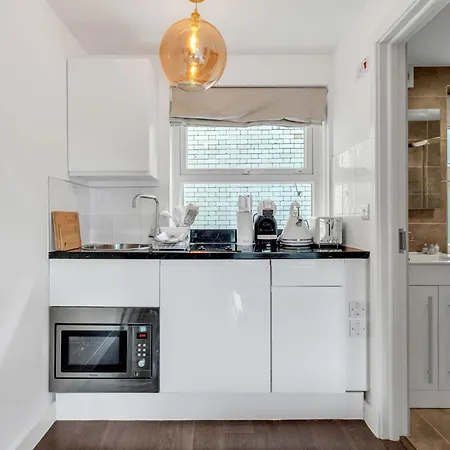 Urban Elegance Luxury Living With Kitchenette Apartment