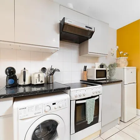 Modern & Cozy Just Steps From Hyde Park Apartment