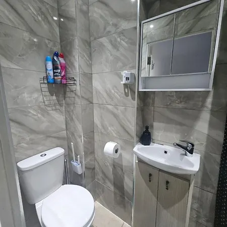 Apartment Gorgeous In Wembley Kingsbury