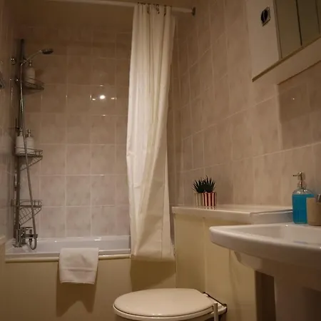 Stylish One Bed Flat In Brook *