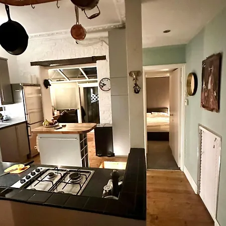 Victorian Garden Flat Apartment London