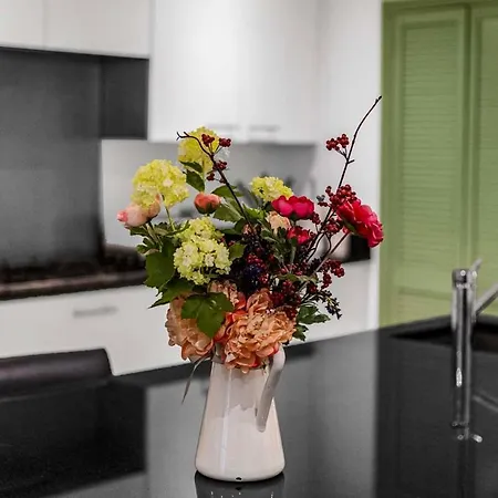 Elegant 3 Bedroom House With Garden And Rooftop Apartment