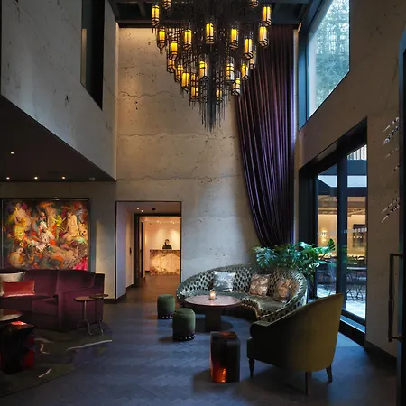 Hotel The Mandrake (adults Only) London