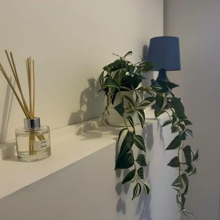 Spacious 3 Bed Apartment, 10 Mins From Wembley Stadium With Private Garden 公寓 伦敦