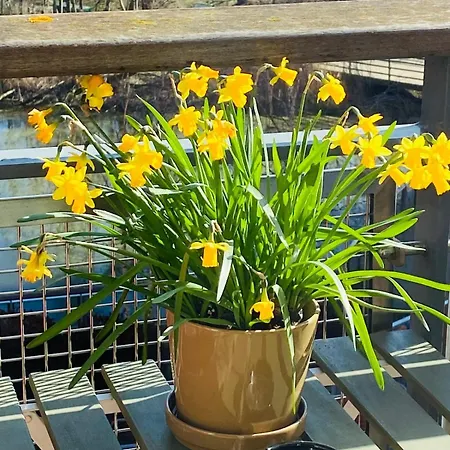 Homestay North Greenwhich London
