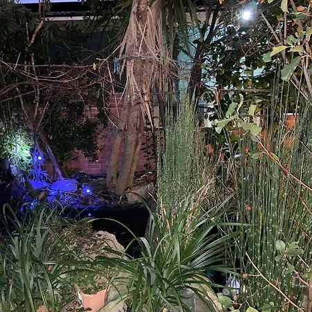 House For 7, Garden With Pond, 20min From Heathrow *