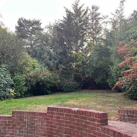 Detached Luxury In London