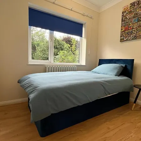 Villa Detached Luxury In London Woodford