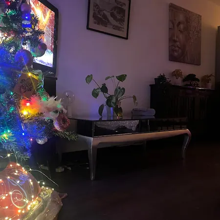 The One With The Peaceful Vibes *