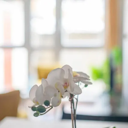 Apartment Lovely 2-bed 20 Mins To