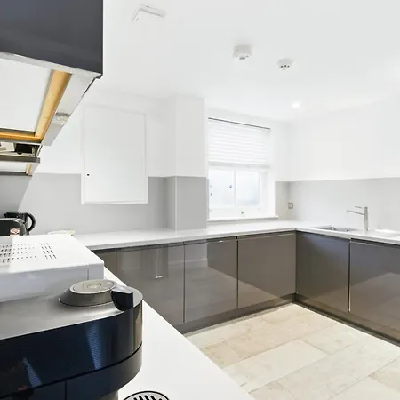 Apartment Modern Clerkenwell Loft Spacious Private Terrace London