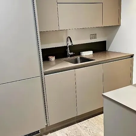 Amazing Flat Near Stratford Station 伦敦