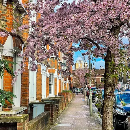 Apartment Bright Modern Large 1 Bed Flat In Battersea Clapham Junction