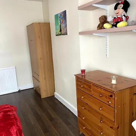 Spacious London House With Parking 公寓 巴尔金
