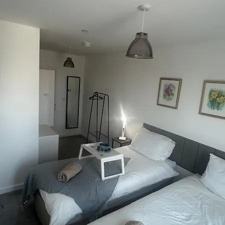 Dionisio Cozy Appartamento Londra