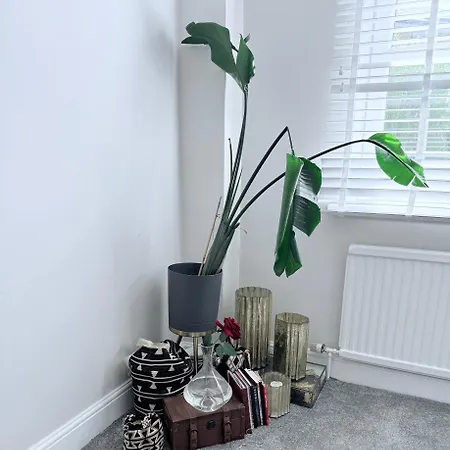 Bright And Modern Flat Near Portobello Road And The Canal Apartment