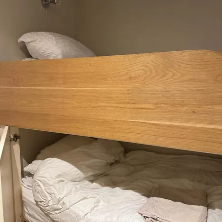 Spacious Flat With South Facing Garden *