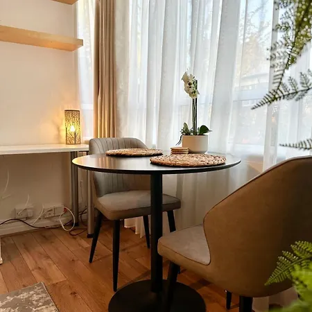 Apartment Beautiful Flat Chiswick