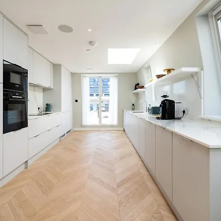 Fitzrovias 3 Bedroom 4 Bathroom Penthouse With Terrace Aircooling And Lift Apartment