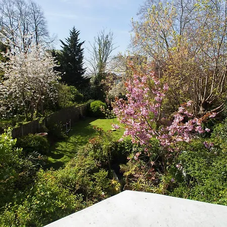 Apartment Hampstead Summer Time Garden London