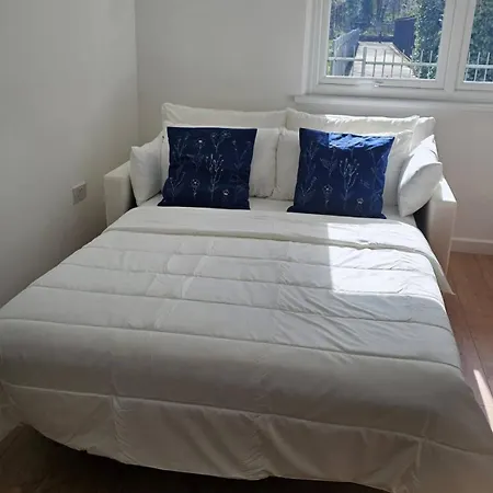 Your Comfy Nest
