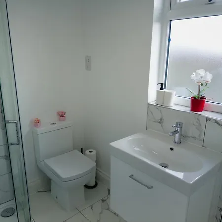 Ideal Loft 30min To Apartment London