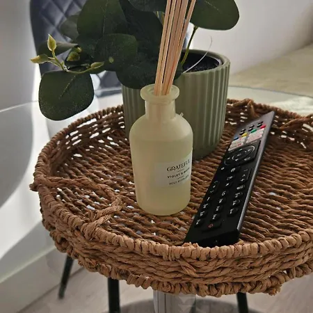 Bright Apt, Great Connection 2b *