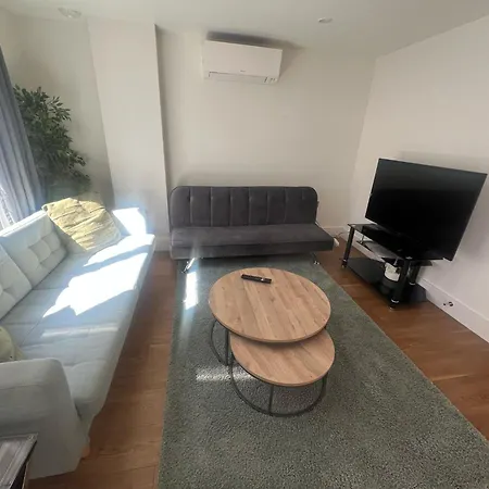 Modern 2 Bed 2 Bath Hyde Park