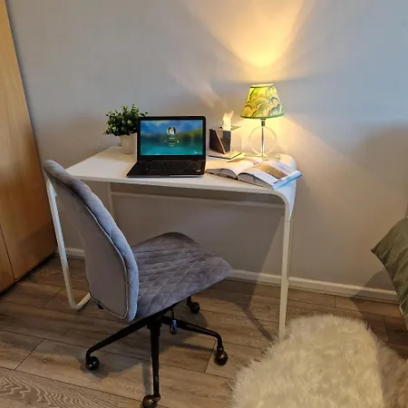 Modern Spacious 1 Bed Flat Westfield Shepherds Bush Free Wifi