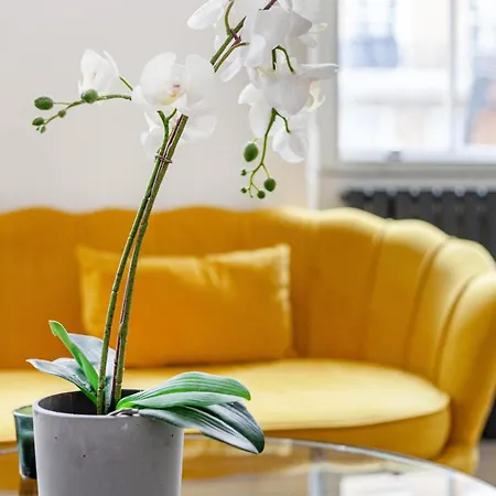 Marylebone - 5 * London
